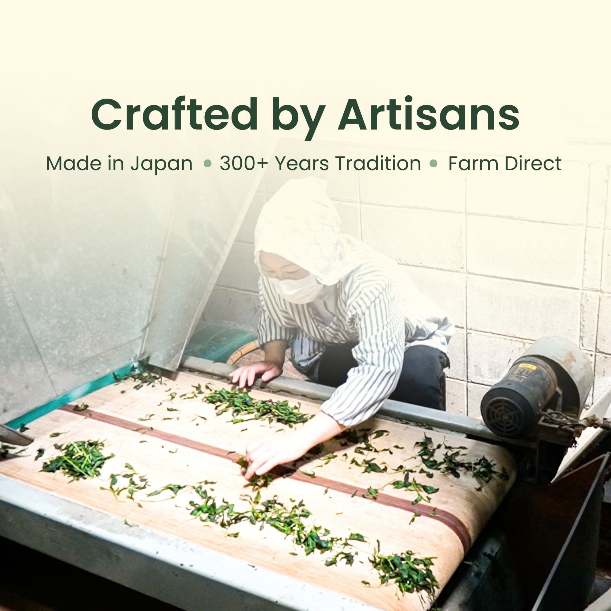 Matcha Flight - 3 Tin Tasting Set